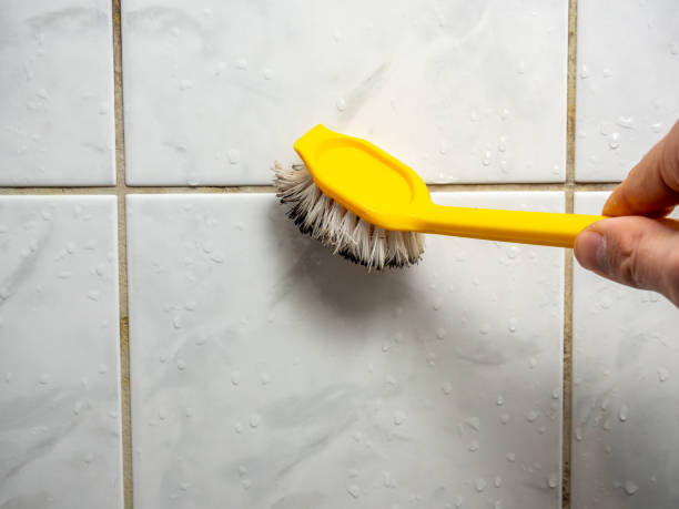 Best Mold Remediation for Specific Building Types in Ham Lake, MN