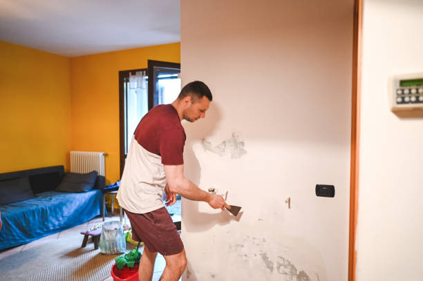 Best HVAC Mold Remediation in Ham Lake, MN